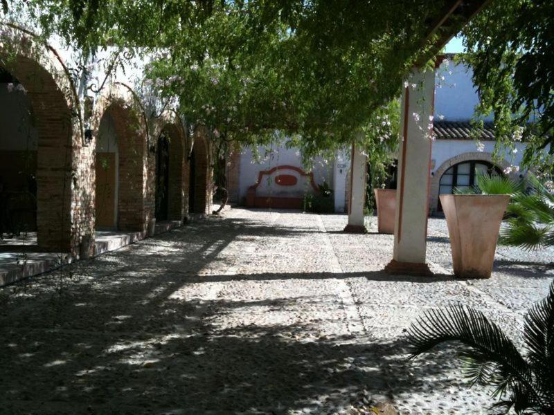 Hacienda Los Jinetes كارمونا المظهر الخارجي الصورة